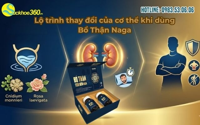 Lộ trình thay đổi của cơ thể khi dùng Bổ Thận Naga