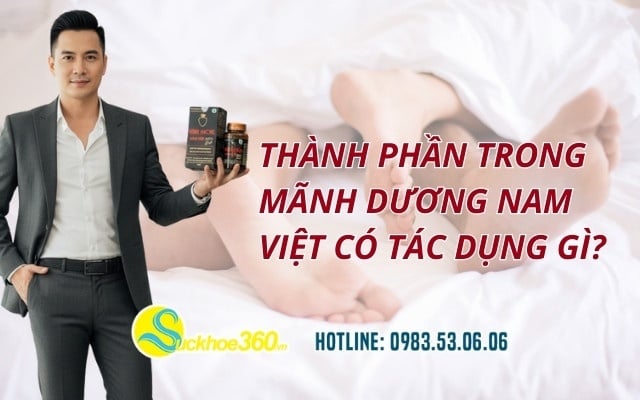 Thành phần trong Mãnh Dương Nam Việt có tác dụng gì?