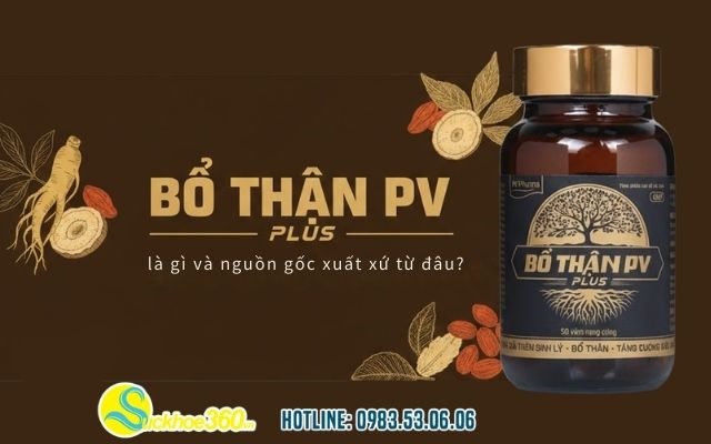 Bổ thận pv plus là gì và nguồn gốc xuất xứ từ đâu?