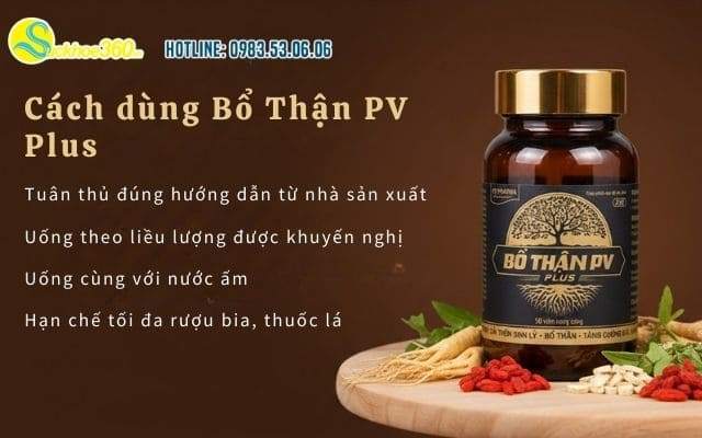 Cách dùng bổ thận pv plus hiệu quả để duy trì phong độ
