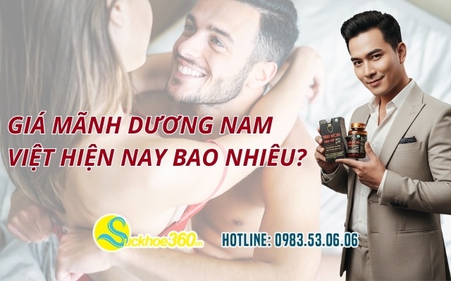 Giá Mãnh Dương Nam Việt hiện nay bao nhiêu?