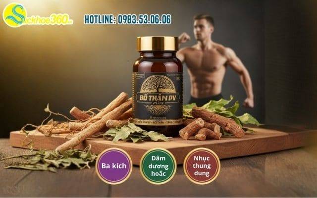 Nhóm thảo dược trong bổ thận pv plus giúp ích gì cho phái mạnh?