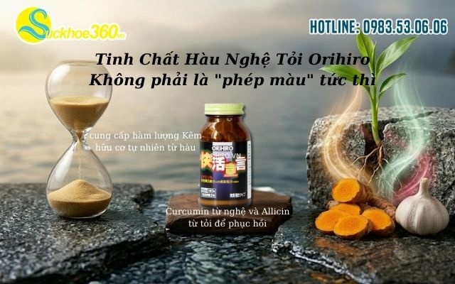 Tinh Chất Hàu Nghệ Tỏi Orihiro Không phải là 