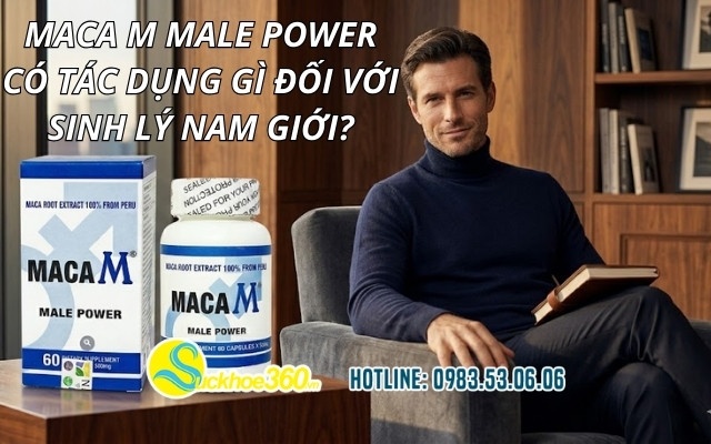 Maca M Male Power có tác dụng gì đối với sinh lý nam giới?