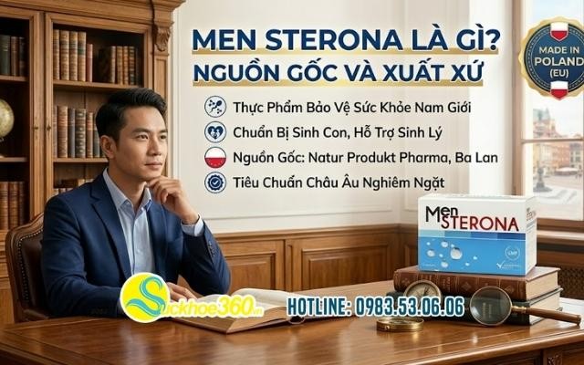 Men Sterona là gì? Nguồn gốc và xuất xứ
