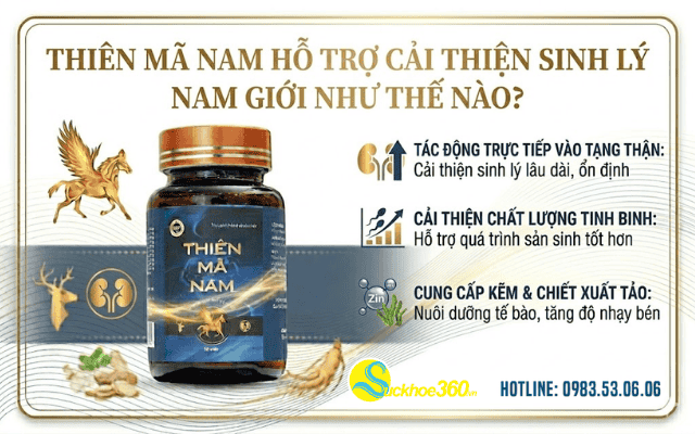 Thiên Mã Nam hỗ trợ cải thiện khả năng sinh lý nam giới như thế nào?