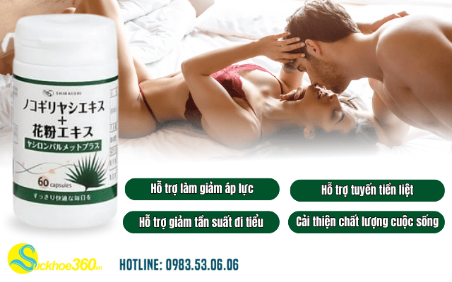 Hỗ trợ tuyến tiền liệt cho người già bằng Saw Palmetto Plus