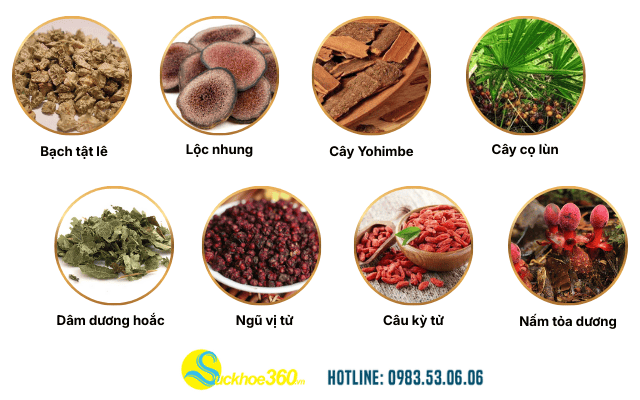 Phân tích các thành phần thảo dược có trong Kichmen 1H