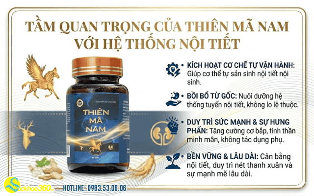 Tầm quan trọng của Thiên Mã Nam trong việc hỗ trợ sản sinh
