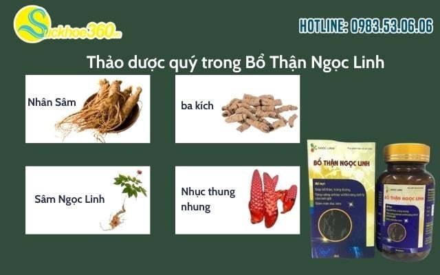 10+ thảo dược quý trong Bổ Thận Ngọc Linh