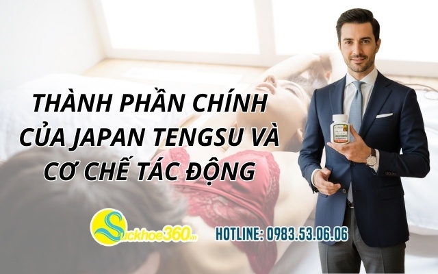 Thành phần chính của Japan Tengsu và cơ chế tác động