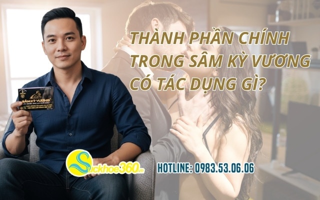 Thành phần chính trong Sâm Kỳ Vương có tác dụng gì?