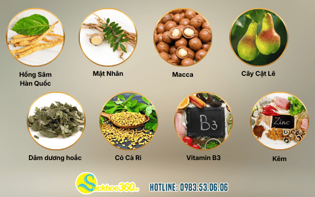 Thành phần & cơ chế hoạt động viên uống Herba Vixmen