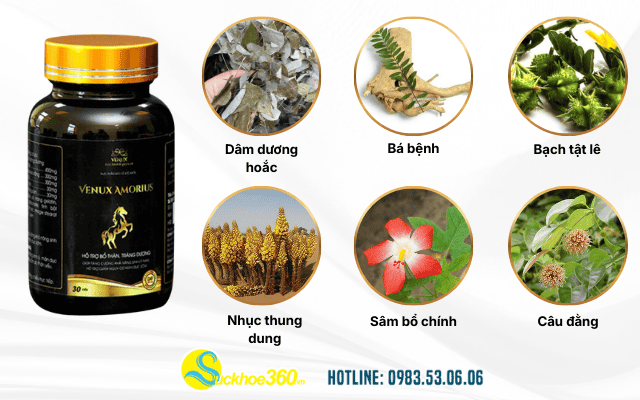 Phân tích thành phần thảo dược có trong Venux Amorius