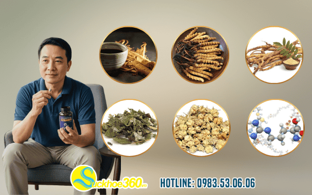 Thành phần và cơ chế hoạt động viên uống Xtramen