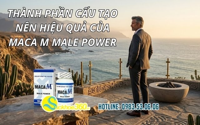 Thành phần cấu tạo nên hiệu quả của Maca M Male Power