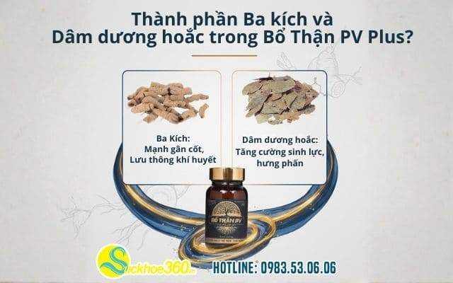 Thành phần Ba kích và Dâm dương hoắc trong Bổ Thận PV Plus