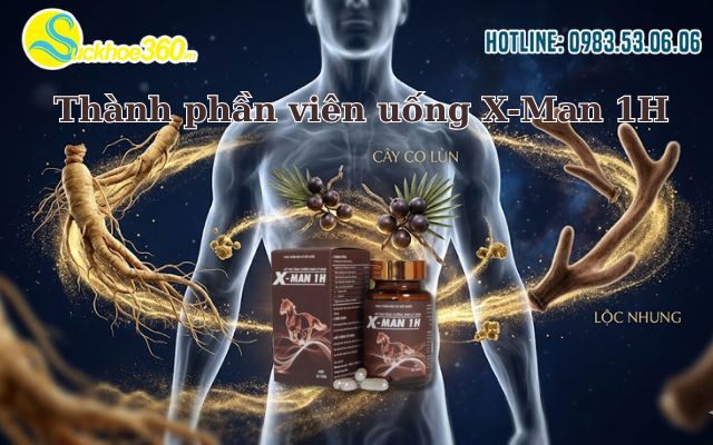 Thành phần viên uống X-Man 1H có thực sự hỗ trợ bổ thận?