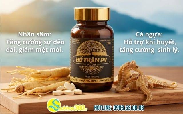 Vai trò của nhân sâm và cá ngựa trong bổ thận pv plus