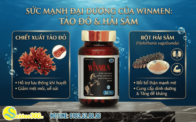 Vai trò của chiết xuất tảo đỏ và bột hải sâm trong Winmen