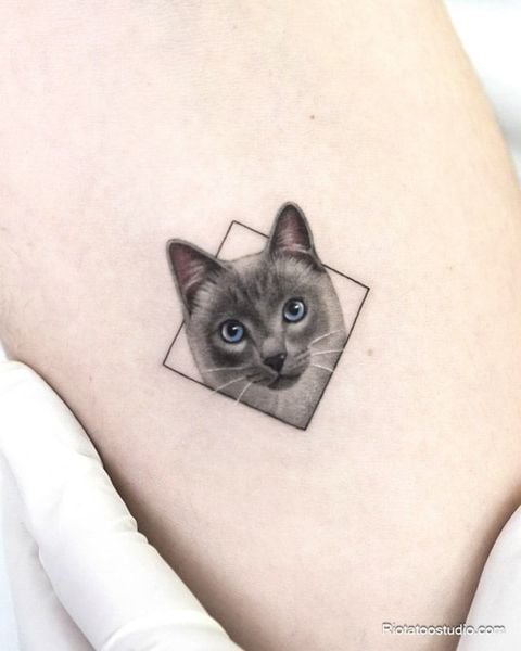 Hình xăm mini mèo