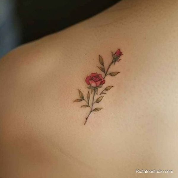 Hình xăm mini hoa hồng