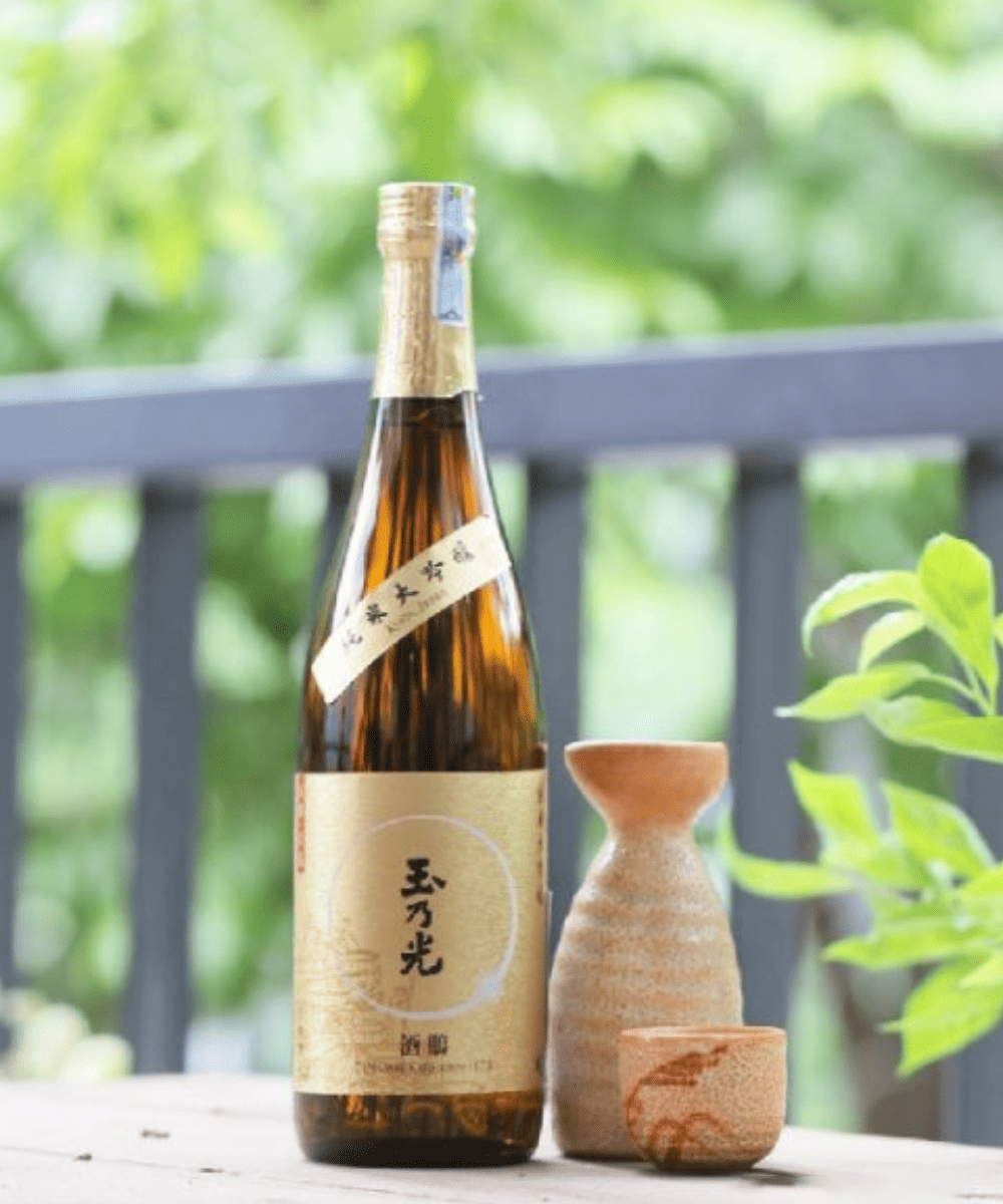 Junmai-shu là lựa chọn lý tưởng khi kết hợp với các món ăn giàu umami