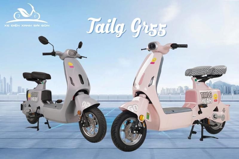 Xe đạp điện TAILG GR55