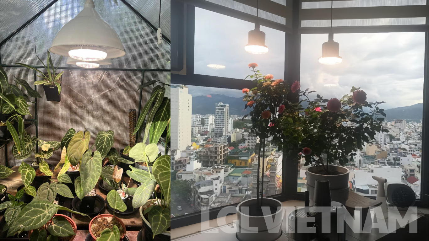 bán đèn trồng cây gần đây lgl