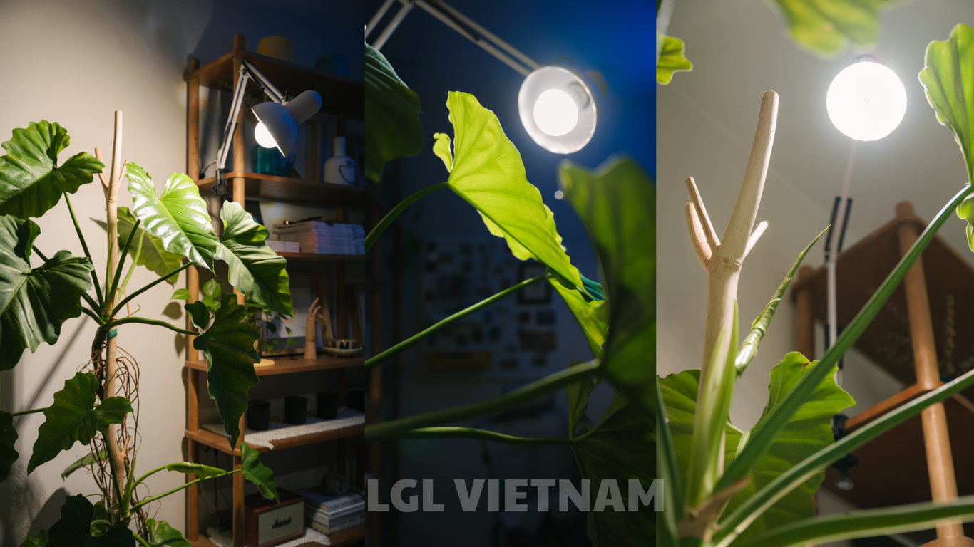 Bộ Chân Đèn đứng Trồng Cây trong nhà LGL