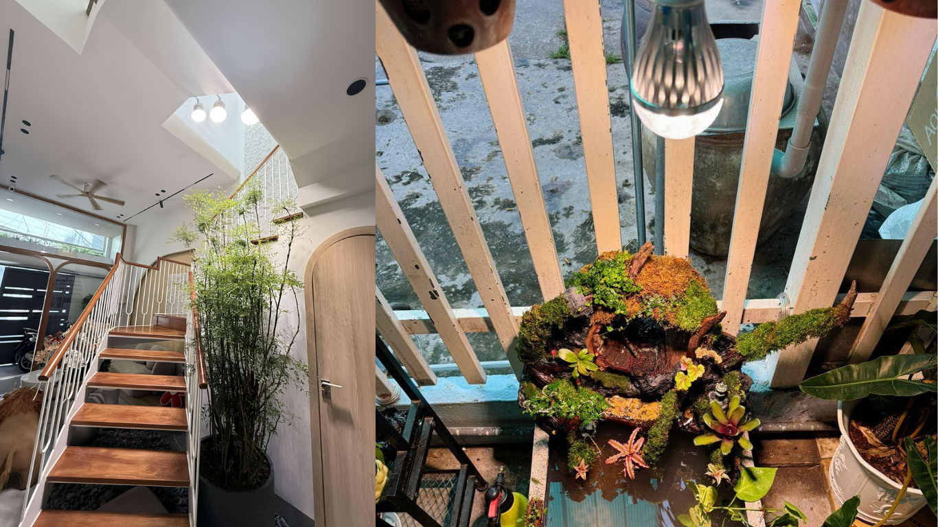 bóng đèn quang hợp cho cây LGL