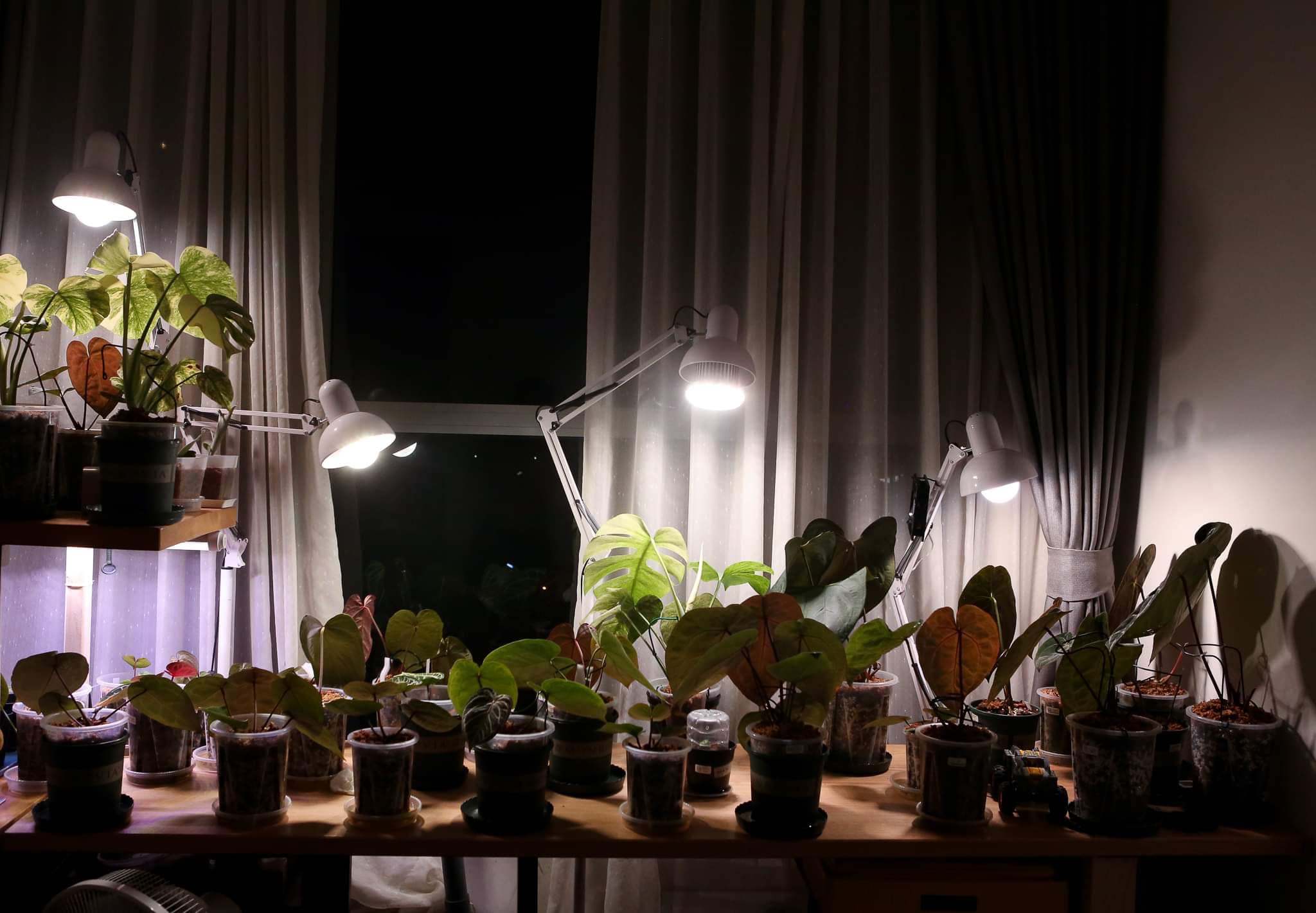 Bóng đèn thay ánh sáng mặt trời LGL