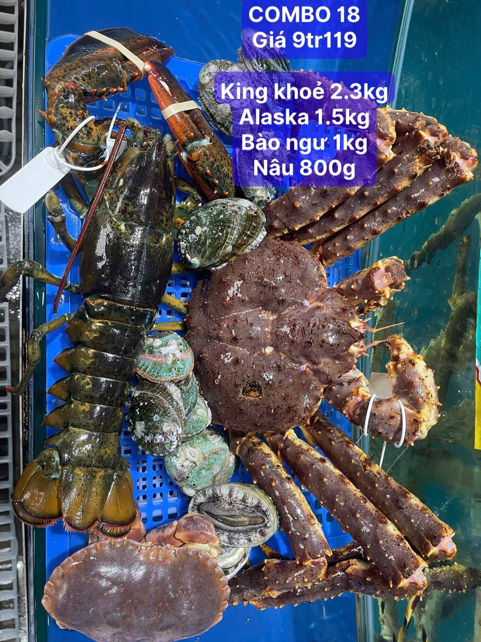 Cap đăng bán hải sản