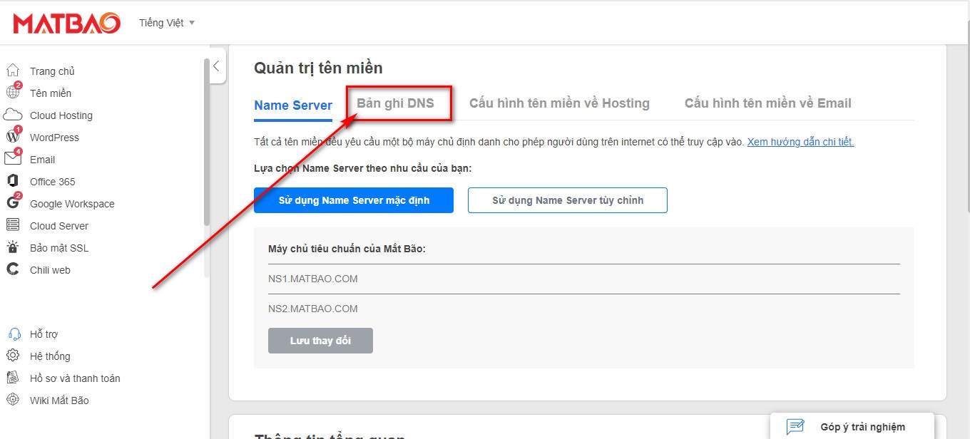 Cấu hình bản ghi DNS