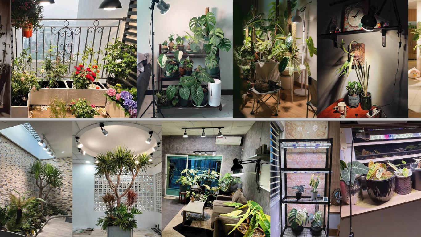 chọn đèn led trồng cây