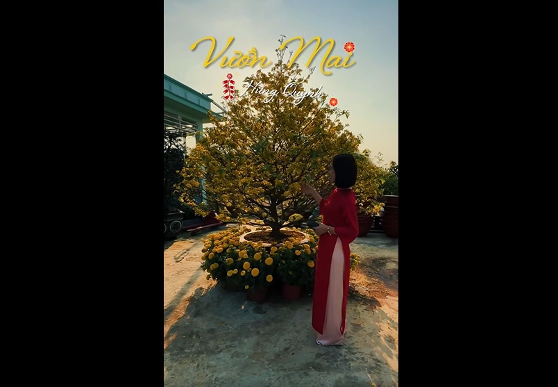 Content cho thuê mai Tết