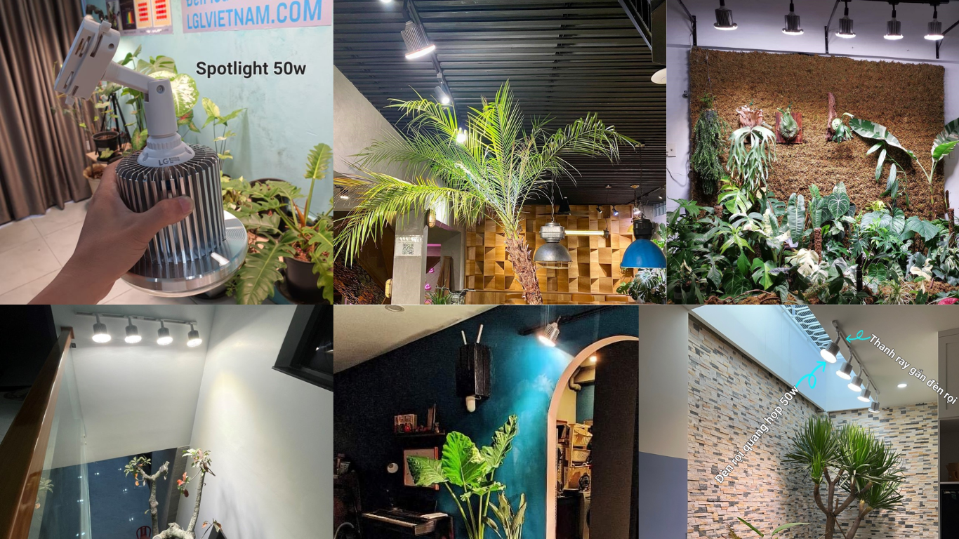Đèn LED trồng cây 50W