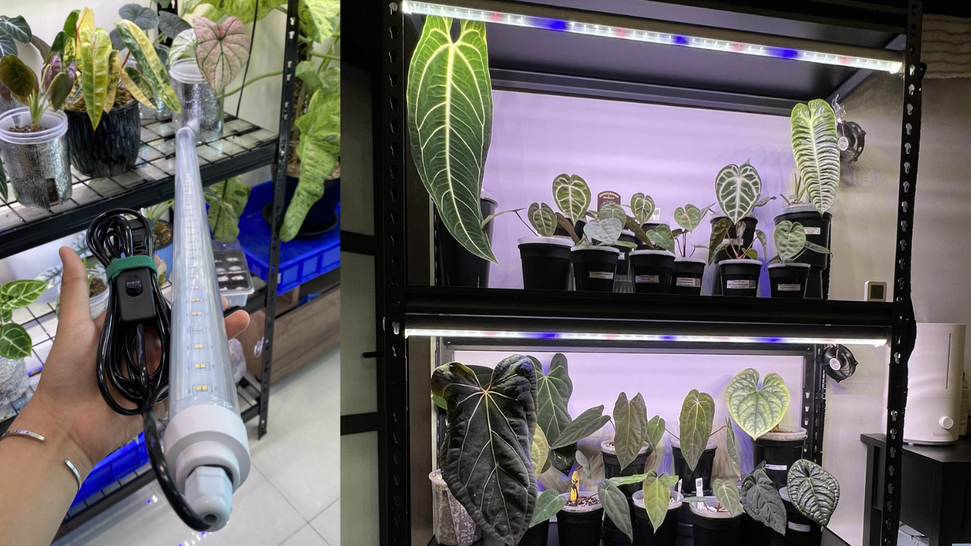 Đèn Led Tuýp Quang Hợp LGL 1m