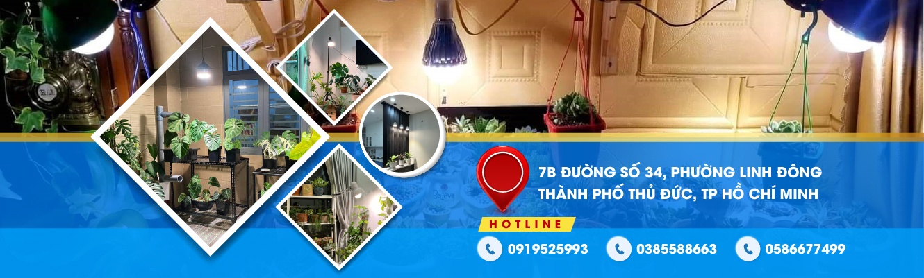 Đèn Quang Hợp LGL