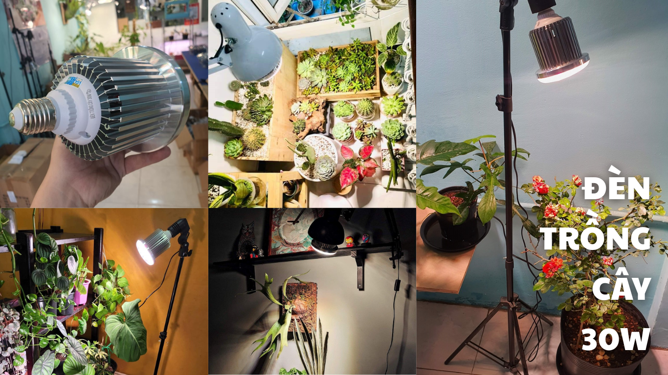 Đèn Trồng Cây 30W LGL