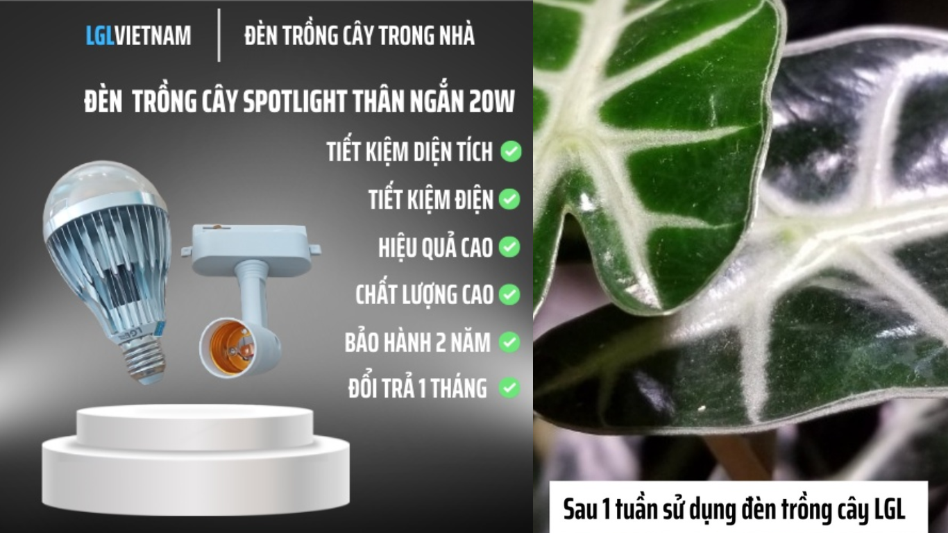 Đèn Trồng Cây Spotlight 20W LGL