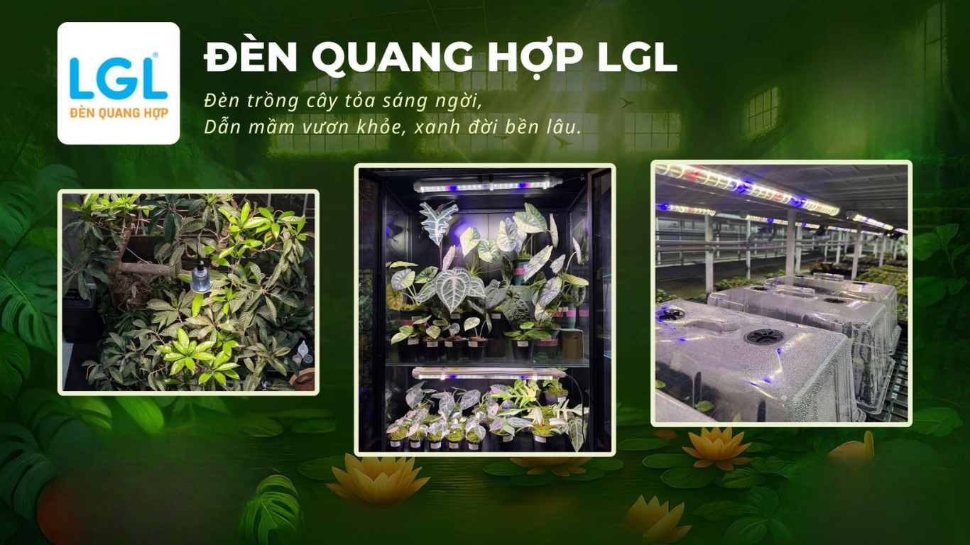 Đèn Trồng Cây Trong Nhà LGL
