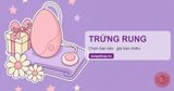 Trứng Rung Giá Bao Nhiêu? Bảng Giá 2026 Từ 190K