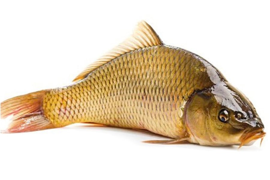 Hướng dẫn chọn mua nguyên liệu tươi ngon