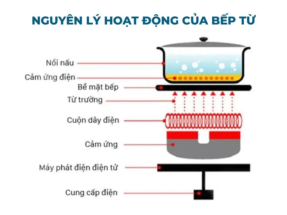 Bếp từ hoạt động dựa trên nguyên lý cảm ứng điện từ