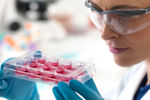 Potential Applications Of Adipose Tissue Stem Cells ivfholymothers