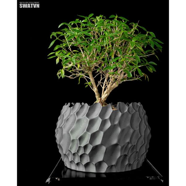 thiết kế chậu cây in 3D độc đáo