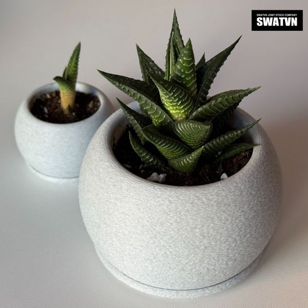 cung cấp chậu cây in 3D theo yêu cầu