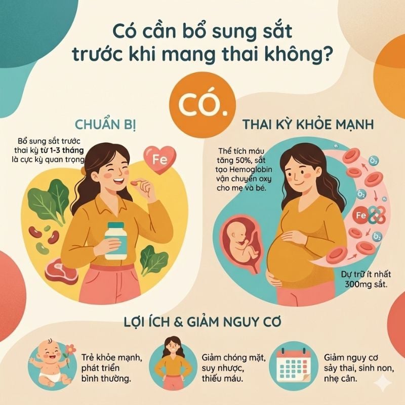 nhathuocvietnhat.vn-Bổ sung sắt trước khi mang thai giúp thai kỳ khỏe mạnh