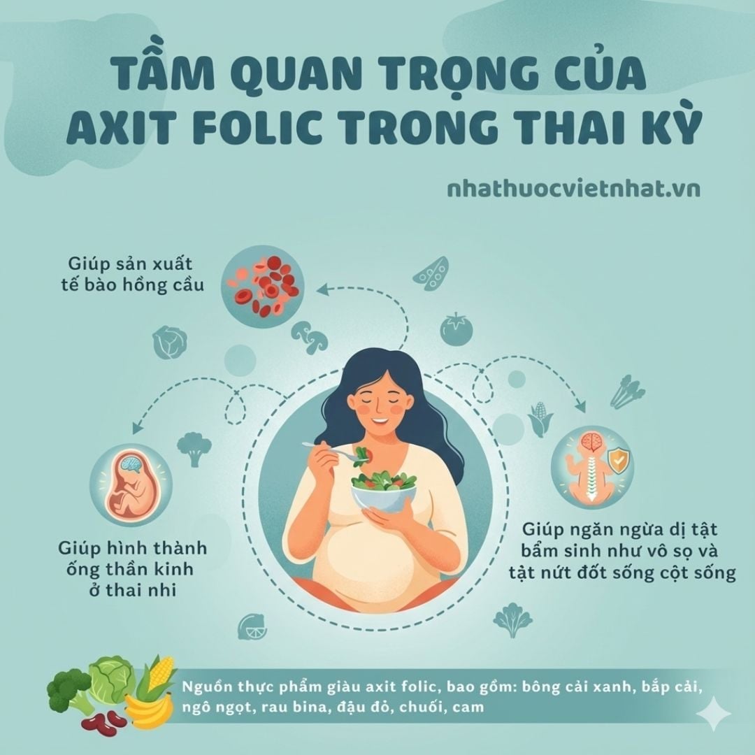 nhathuocvietnhat.vn - Acid folic đóng vai trò quan trọng trong thai kỳ, giúp ngăn ngăn ngừa dị tật ống thần kinh ở thai nhi